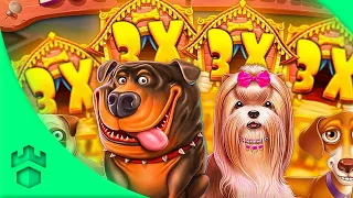 DOG HOUSE JUST PAID ME CRAZY 💥🐶 (GAMDOM)
