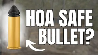 The Worlds Quietest Bullet: 22 Colibrí…
