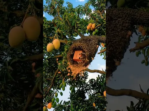 Allah save a man from honey bees attack #viral #ytshorts #islamic