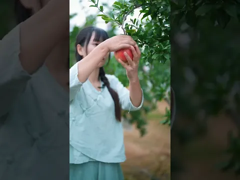 Beautiful Nature with Rural Life (P134) - Rural fresh fruit harvesting