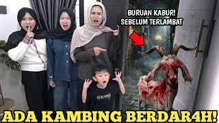 KABUR JIKA LIHAT KAMBING BERDAR4H DIRUMAH KALIAN!