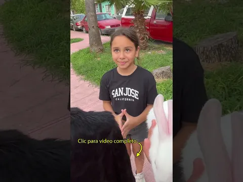 Le di a escoger a niña entre la vida de un conejo y dinero 😭 Lo que pasó nos dejó mudos