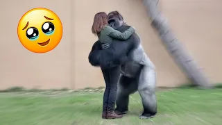 Animals Never Forget Who They Love… These Moments Are Heart-Stopping