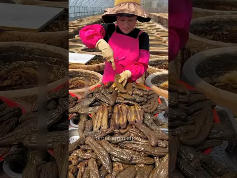 চায়নার মানুষ কিভাবে শসা দিয়ে আচার বানায়