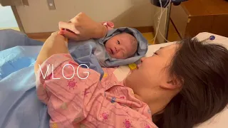 [VLOG] 눈물 바다 태요미네 동동이 탄생 브이로그 👼🏻 [EN/JP]