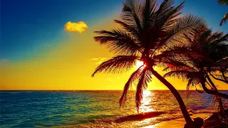 Beautiful Relaxing Peaceful Music, Calm Music 24/7, "Tropical Shores Serenity" By Tim Janis