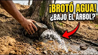 ¡INCREÍBLE! Hallé una VENA de AGUA CRISTALINA bajo este Árbol (No creerás su fuerza) #radiestesia