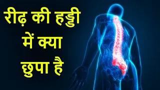रीढ़ की हड्डी में क्या छुपा हैं- spinal cord in vertebral column