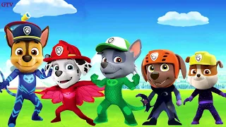 Paw Patrol PJ Masks Finger Family Song Nursery Rhymes Lyrics