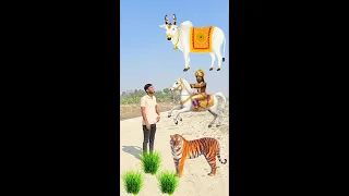 mmvines Live Stream