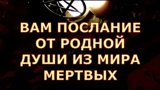 ВАМ ПОСЛАНИЕ С НЕБЕС ОТ РОДНОЙ ДУШИ ИЗ МИРА МЕРТВЫХ #tarot#shorts#gadanie#таросегодня