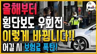 1월부터 횡단보도 우회전 단속/처벌 바뀝니다! 어길 시 보험료 폭탄 맞아요.