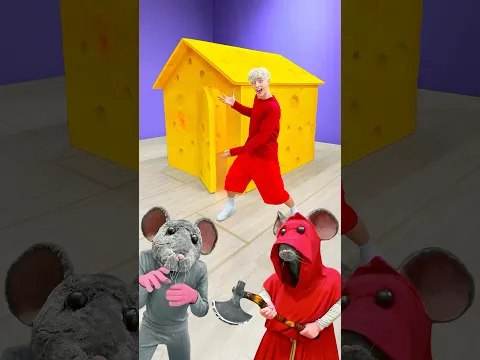 CHEESE HOUSE vs MICE! 🏠🧀🐭
