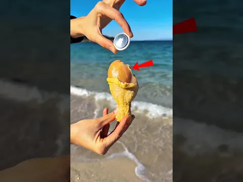 ¡Rastreó a un Monstruo Marino! 😱🌊 #Catsoftiktok #CatLovers #cat #cute #FunnyCats #catcartoon #fyp