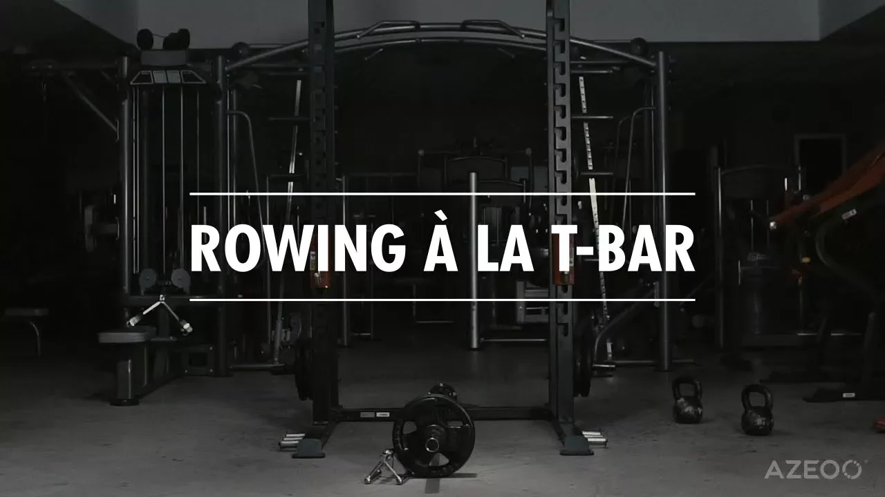 Image Rowing à la T-bar