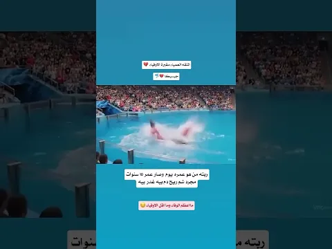 الثقة العمياء مقبرات الأوفياء 💔💔💔