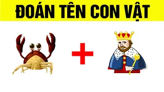 Câu đố vui đoán tên các con vật qua hình ảnh