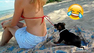 These Funny Pet Videos Will Cheer up Your Day And Make it Brighter 🥰