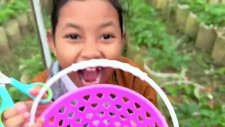 Memetik buah strawberry Korea di pegunungan #minivlog #strawberry #pancasakatv