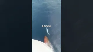 CLICK THE SOUND NOW 🥰