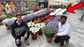 ऐसी Flower कलेक्शन कहीं नहीं देखी 😍 गार्डन लवर्स के लिए जन्नत!