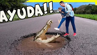 CAIGO a la PISCINA TOXICA! ( La Pócima )