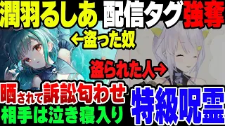 【VTuber】潤羽るしあことみけねこ、配信者にとって大事な配信タグを他人から強奪して大炎上。元々タグを使っていた人が手放さざるを得ない事態に【ゆっくり解説】