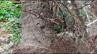 বয়সের থেকে ছোটর সাথে প্রেম করতে গেলে যা হয়