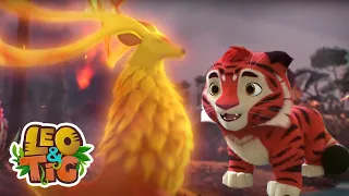 Leo & Tig - El ciervo rojo y más episodios completos | caricaturas para bebés en MOOLT