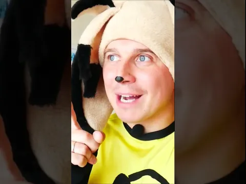 Барбоскины Дружок потерял память DiDiKa TV  #comedy #funny #dance #humor #didikatv