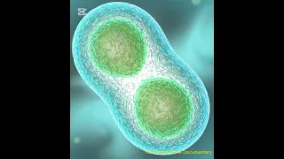 Introduction to Biochemistry