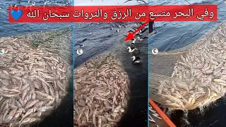 صيد السمك في البحار ما شاءالله على الرزق والثروات 🐟