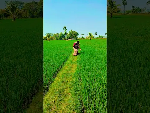 உன் கூட வரட்டுமா