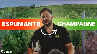 Fermentación PERFECTA: El Proceso que Pocos Conocen del Vino Espumante 🍾