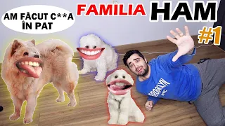 FAMILIA HAM (S01/Ep.1) : CÂINII VORBITORI DE CRĂCIUN