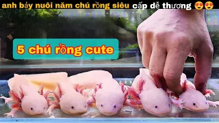 Nuôi Năm Chú Rồng Nhỏ Siêu cấp Quý Hiếm Và CÁi Kết Thú Vị || review giải trí đời sống