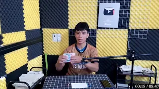 🐯🌲 Cắt dán hổ con trong rừng xanh