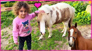 סוסים 🐎 חיות לילדים בחוות סוסים לילדים 🐴 בעלי חיים לילדים עם נויה ושיר