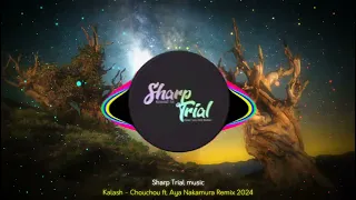 Kalash - chouchou ft aya nakamura ( master dav remix 2024 )