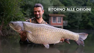 Ritorno alle origini | Riccardo Fanucchi | Carp Fishing Italia