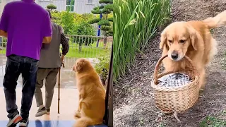 毛毛也成了管家婆，什么事情他都考虑周到。❤️#聪明旺豆豆