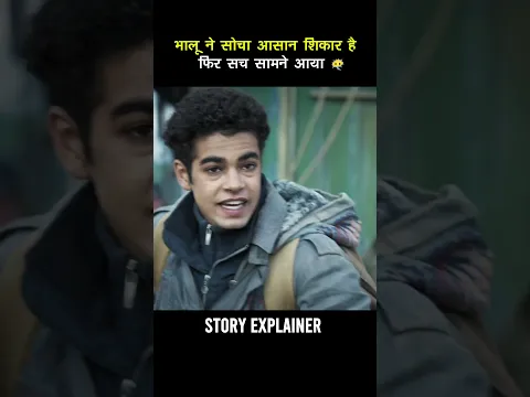 भालू ने सोचा आसान शिकार है… फिर सच सामने आया