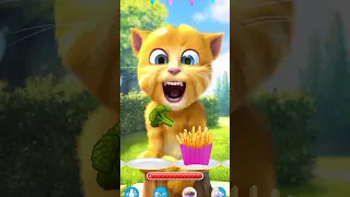 talking ginger cat eating