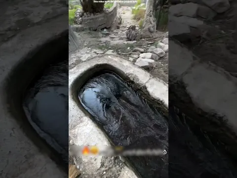 ये लड़का पानी के pool में कूद गया || jump water || #shortsvideo