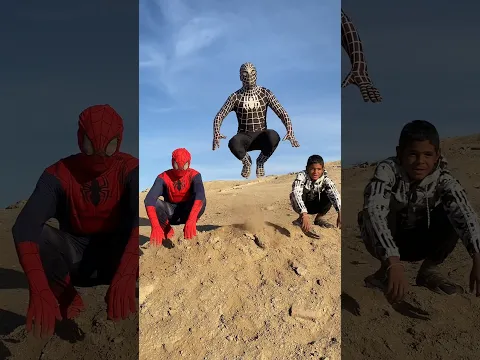 وي وي وي القطة تضحك 👌🤣