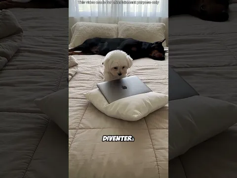 😱🛏️ Max pensava che ci fosse un buco nero nel letto! Finalmente è stata svelata la verità 😂 #shorts