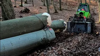 Ťažba dreva 🌲 Práca v lese 🌳Logging | Forest | Hard Work | Skidde | Felling | @AmlesOrvexLT100