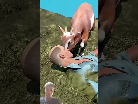 #edit