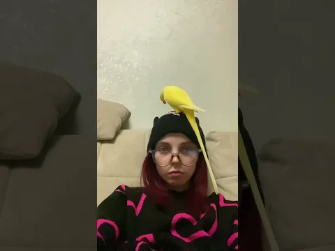 ГОВОРЯЩИЙ ПОПУГАЙ 😳 ОБИДЕЛ МЕНЯ..