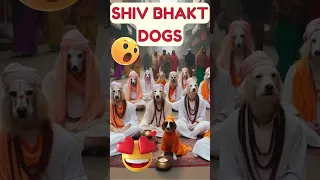 Shiv Bhakt Dogs | Bagad Bam #viral